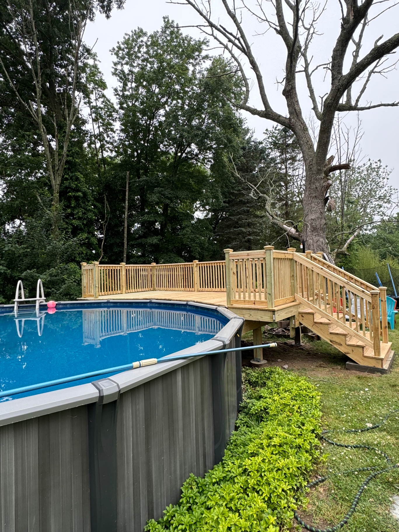 Deck Builds